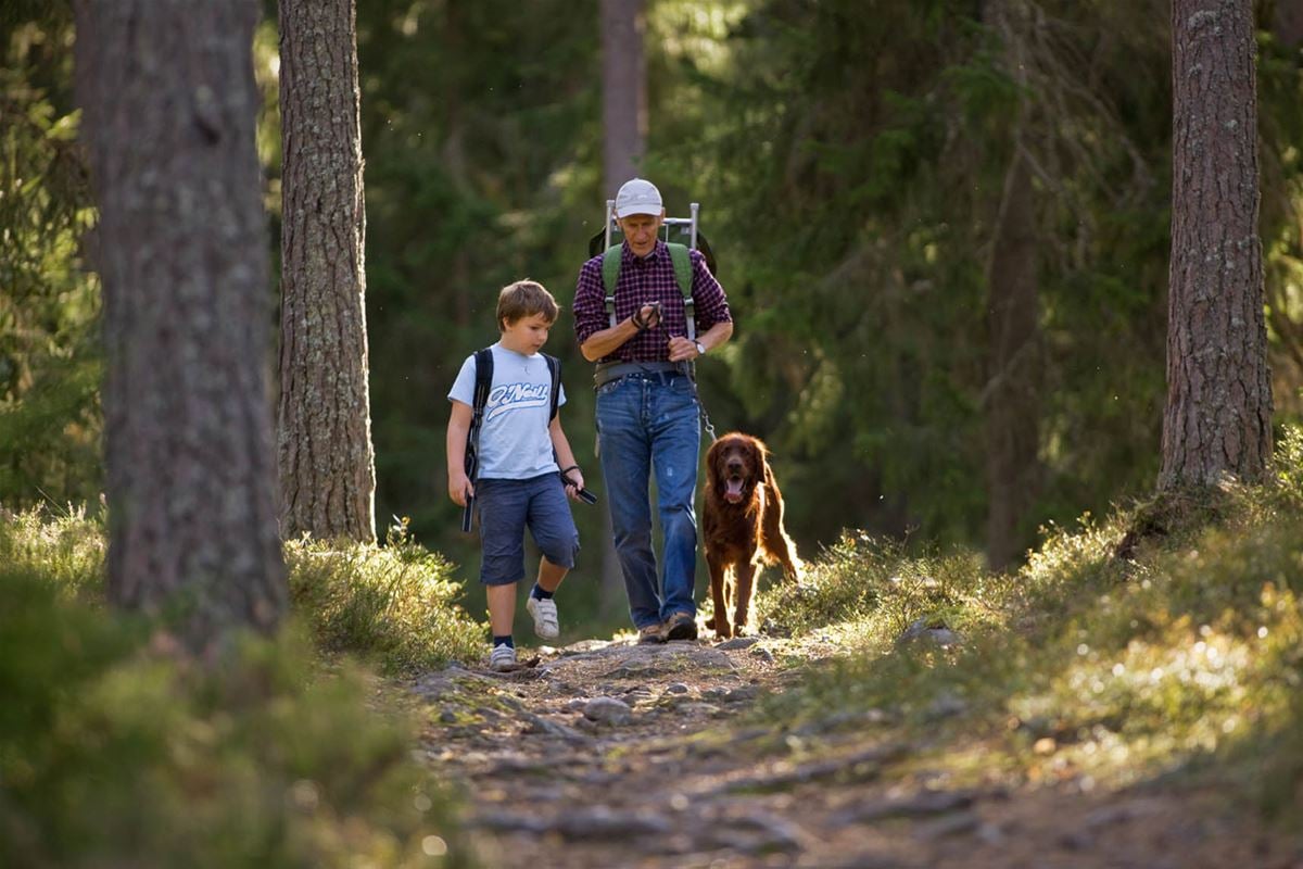 Man med ryggsäck vandrar med pojke och hund på vandringsled i skog.