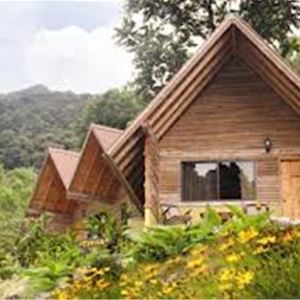 Boquete Tree Trek Mountain Resort