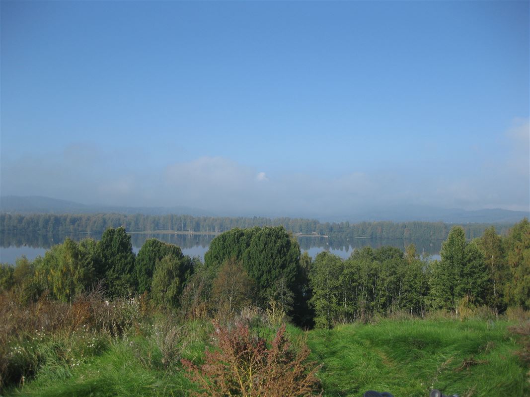 View over the lake and forest.