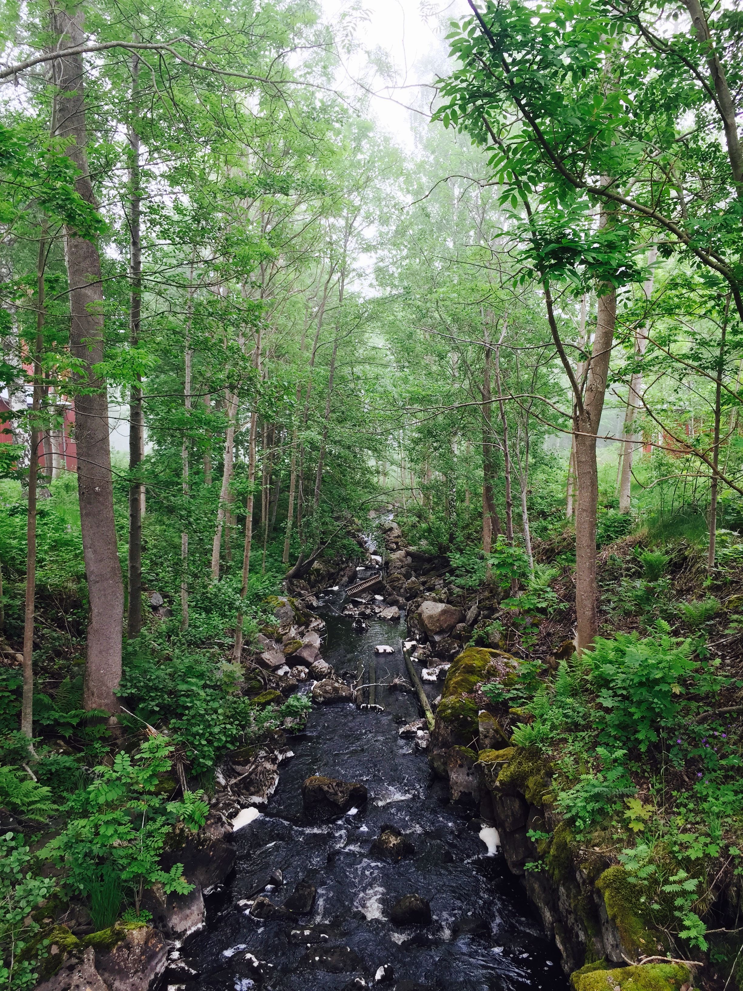 Långvinds Bruk, Vandrarhem Snickeriet