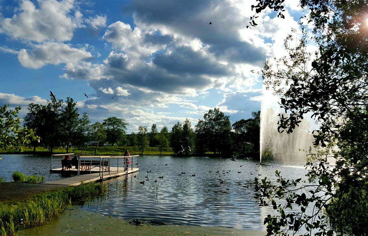Tjärnasjön, en brygga och en fontän i sjön.
