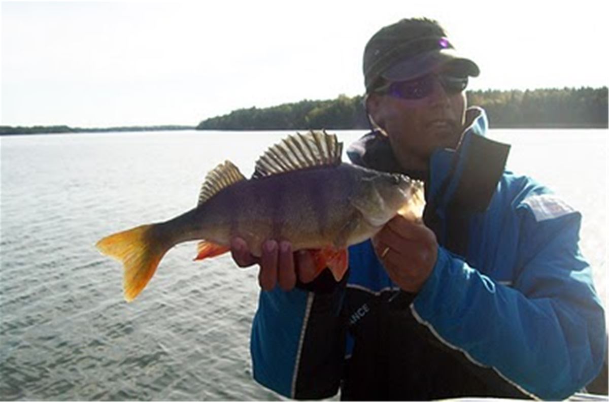 Alandfishing image 1