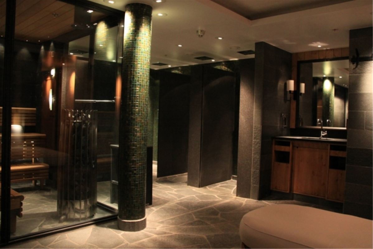 The shower section with sauna and mirrors in dark a colors.