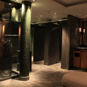 The shower section with sauna and mirrors in dark a colors.