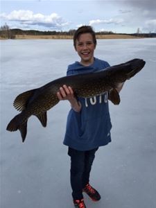 A boy on the ice with a big pike in his hands.