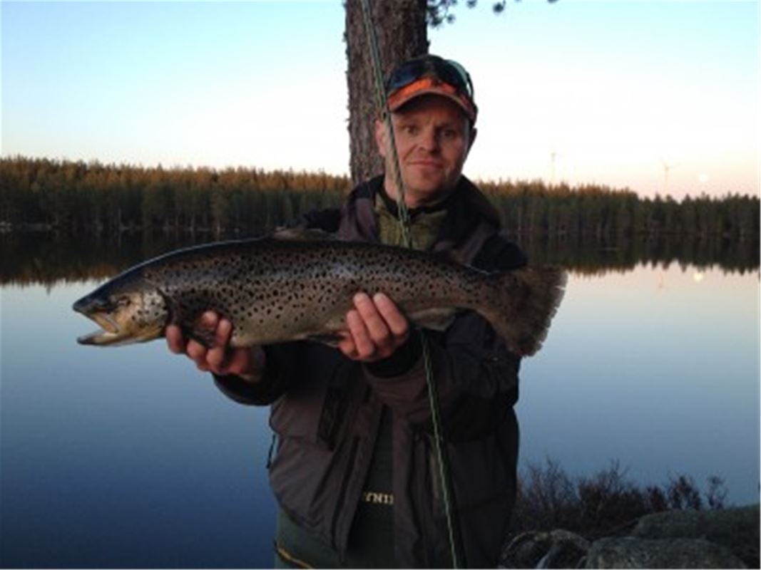 Fiskekort Lingheds Fiskevårdsområde | Visit Dalarna