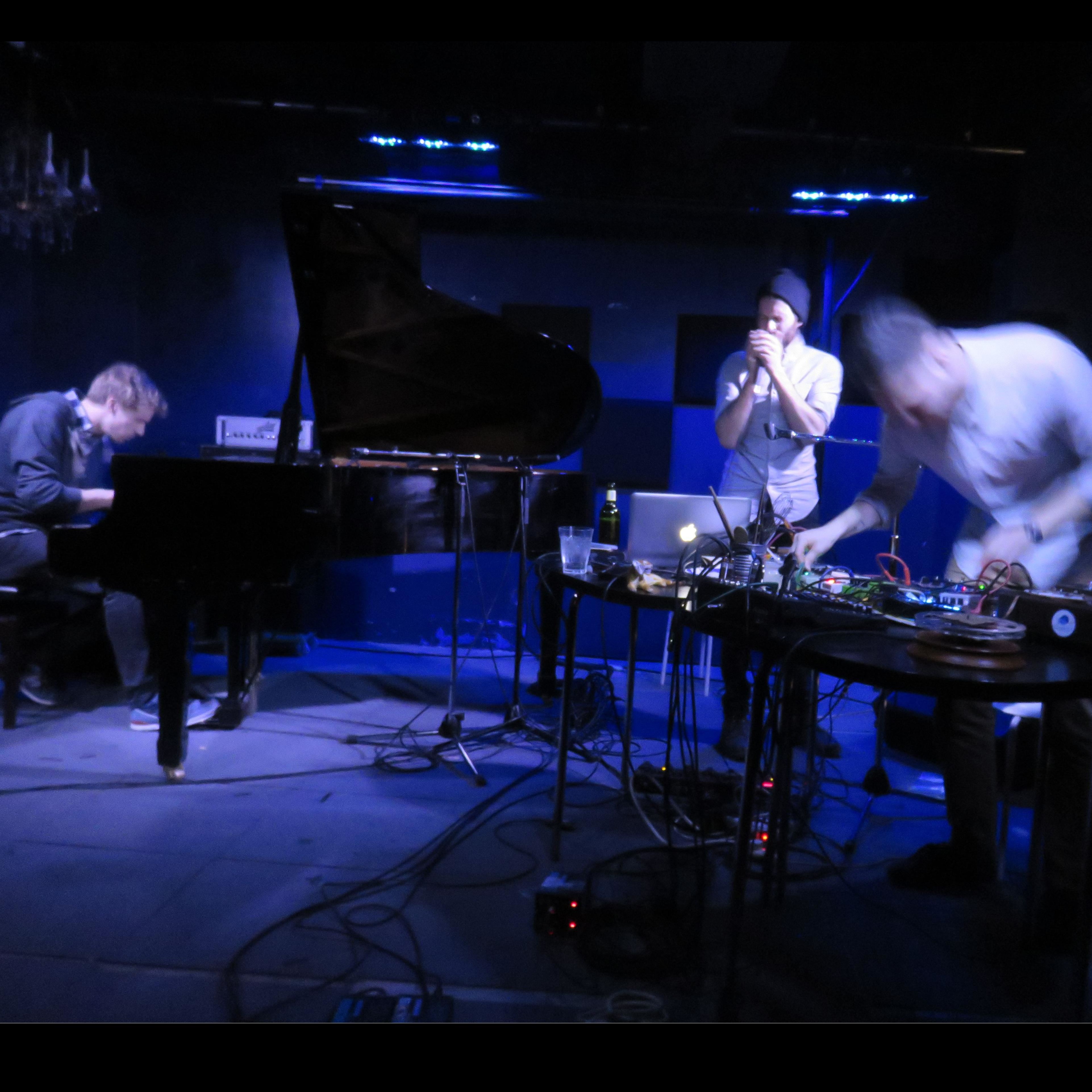 Konsert: Sontag Shogun och Julia Kent