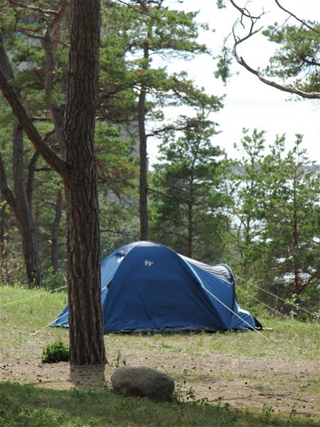 Tent pitch incl electricity, Area B (B1-B15) 