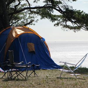 Tent pitch incl electricity, Area (D1-D10)