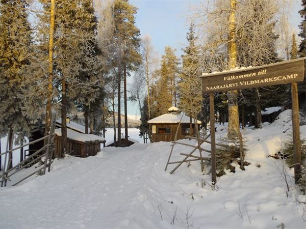 Naarajärvi vildmarkcamp 