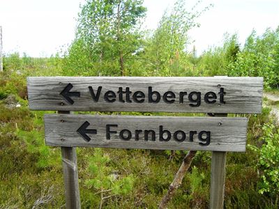 Gnarps Vettberg - fornborg