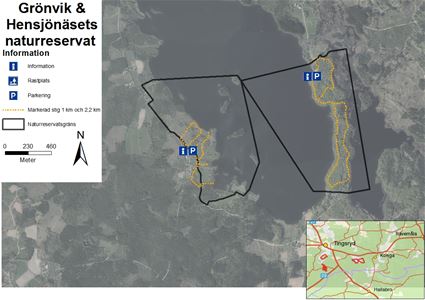 Grönvik & Hensjönäsets naturreservat