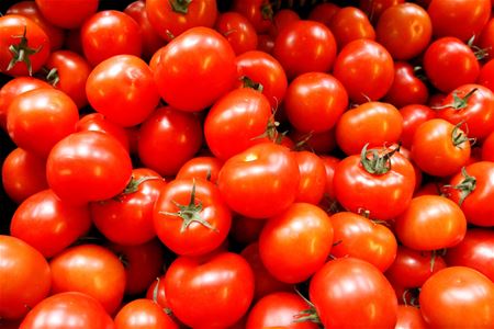  Tomatoes. 