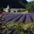 Lavender Tour H2 Demi-journée - Gordes( photo stop) / Sault - Provence Travel