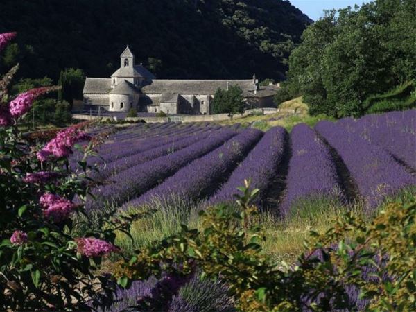 Special Lavender Tour F2: Fontaine de Vaucluse/Abbaye de Sénanque (photo stop)/Gordes/Roussillon/Sault - Provence Travel