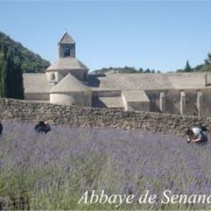 Fontaine de Vaucluse/Gordes/Roussillon or Abbaye de senanque(photo stop) (according to the blossom season)- Provence Travel