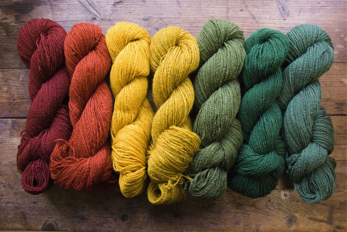 Wool yarns in different colors.