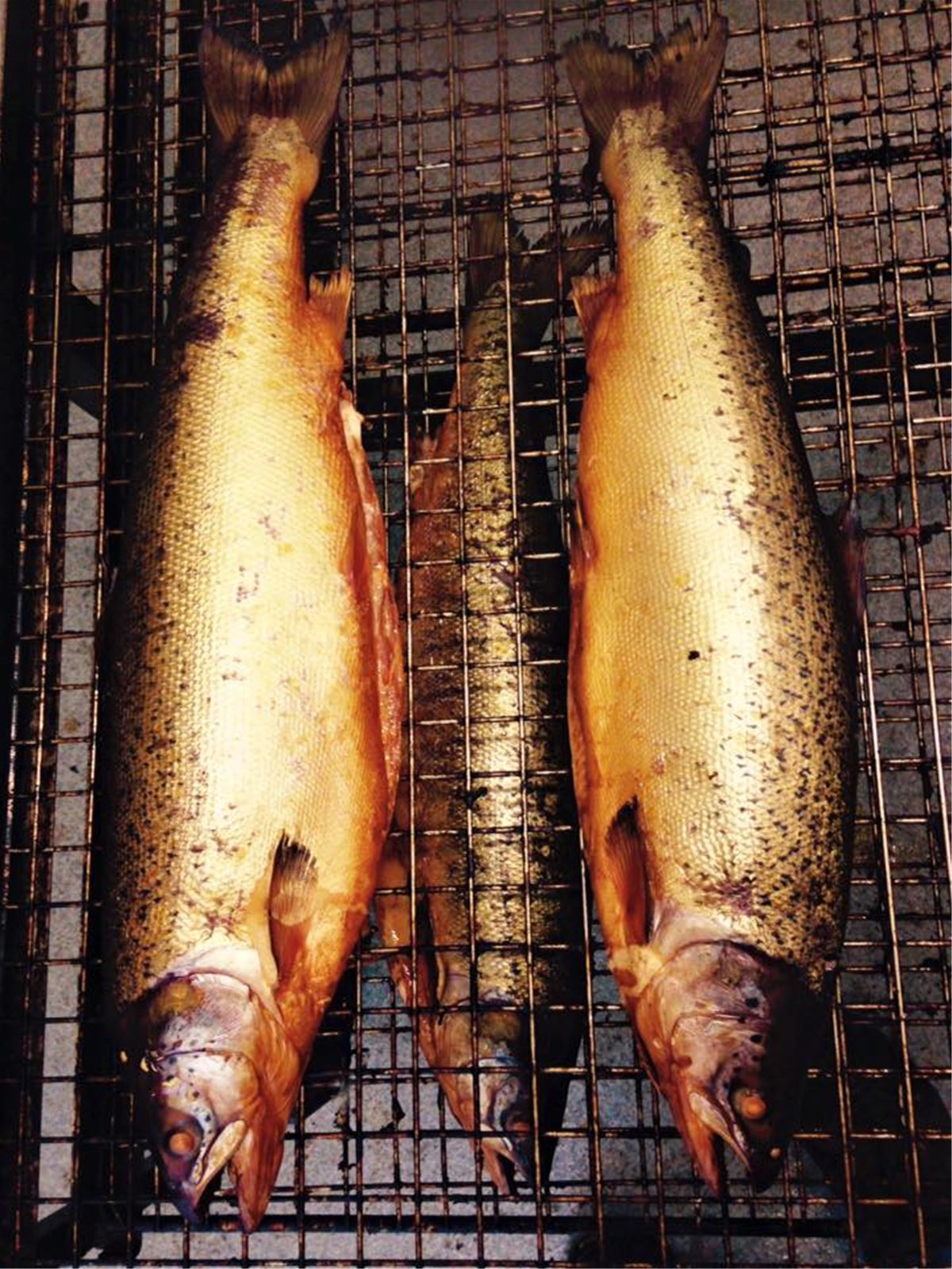 Smokehouse Åsnenrökeriet image 1