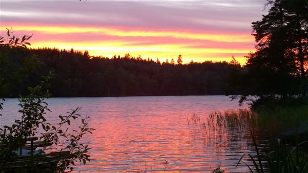 Solnedgång vid sjön 