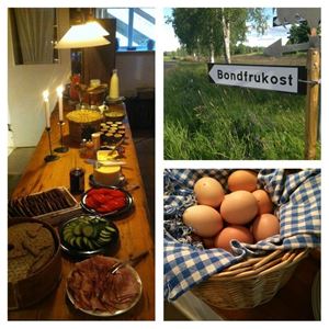 Collage med olika bilder.