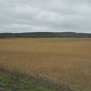 Tuulikannel | Ala-Heikkilän Loma-asunnot 