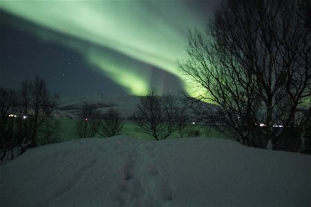 Snø på bakken og nordlys på himmelen