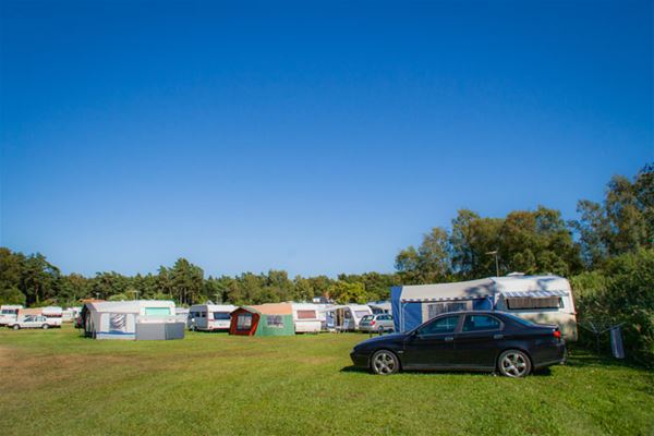 Tofta Camping - Camping pitches 