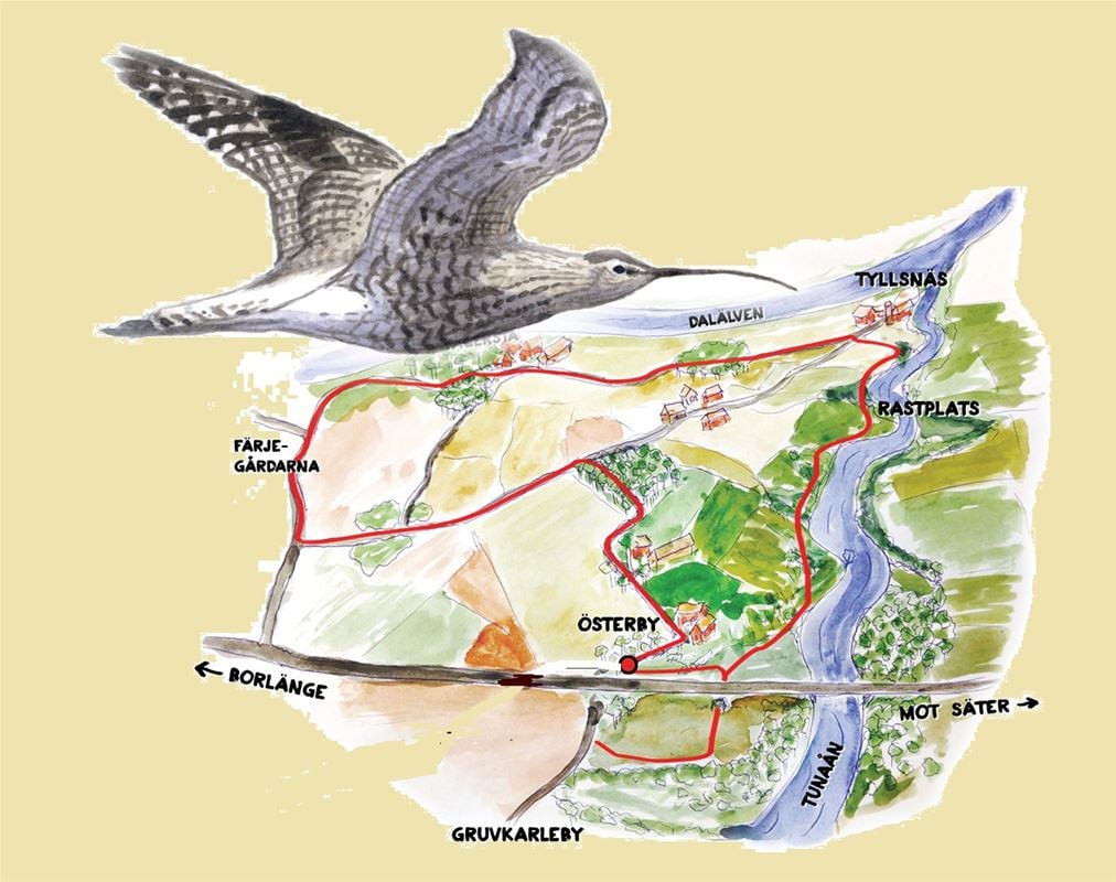 Tecknad bild över vandringsleden, Dalälven,fågel som flyger.