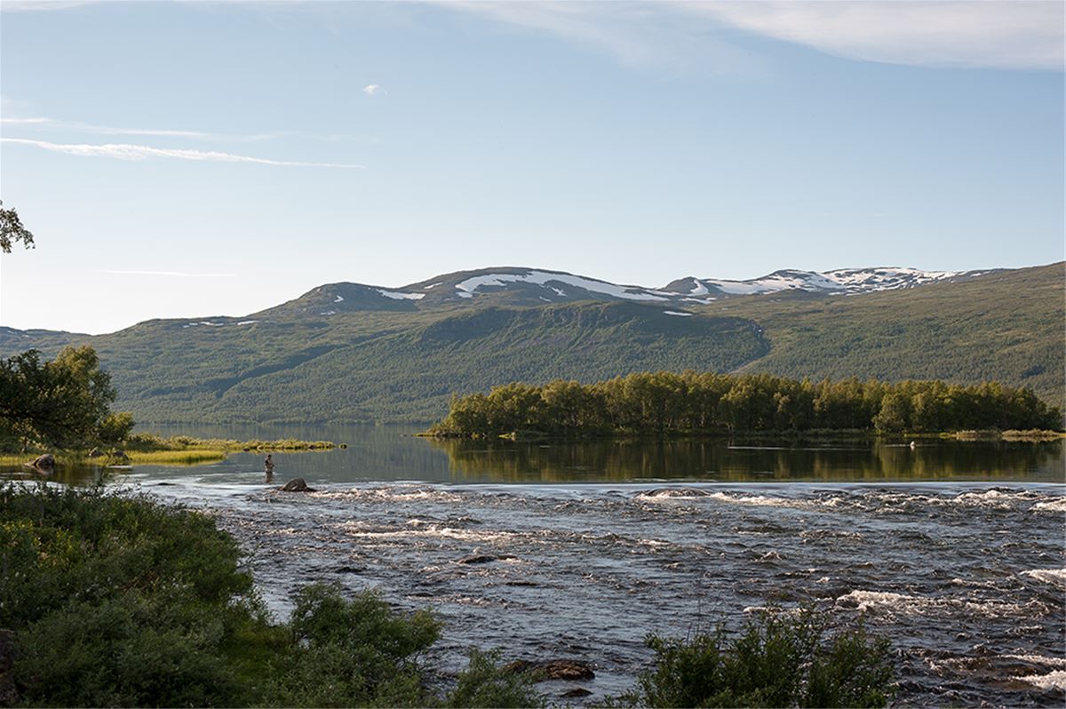 Trail along Tärna river image 1