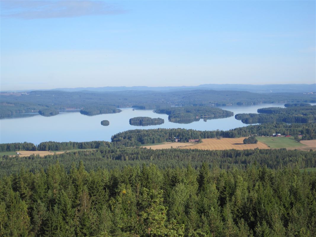 Utsikt från tornet med skog och sjö med öar.