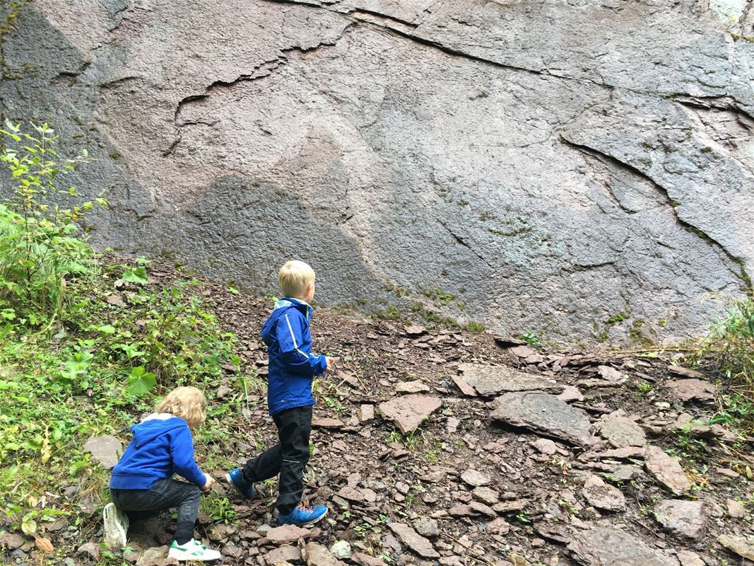 Två barn tittar på fosiler.