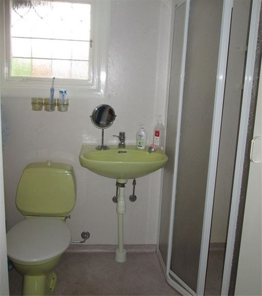 Toilet seat and a shower. 