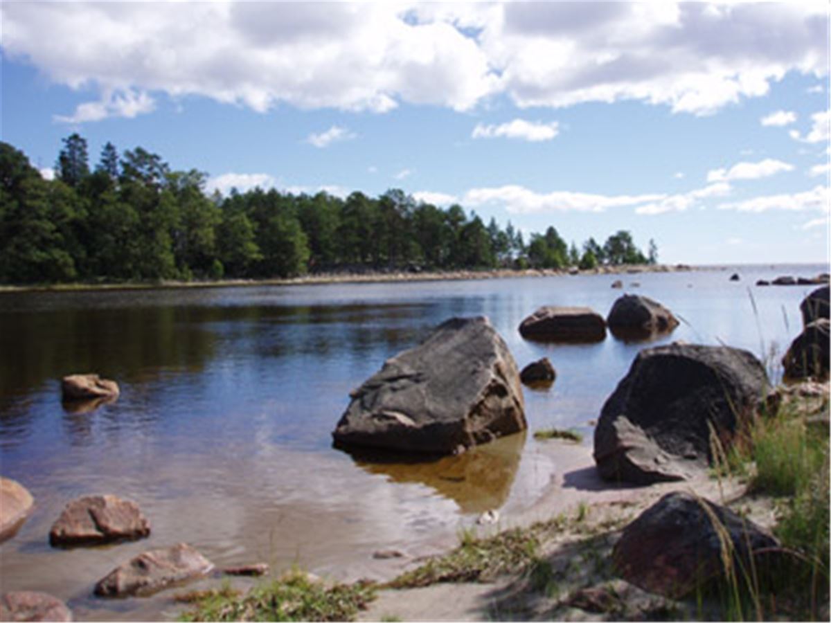 Vattingsmalarna, Gnarp