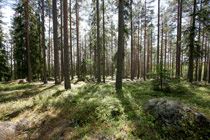Gästrikeleden