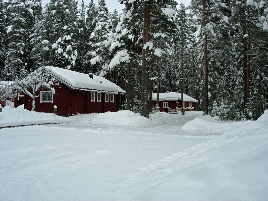 The cottages on a winter day.