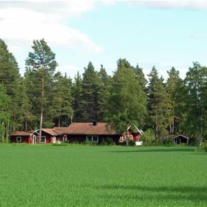 A green field in front of Sifferbo stugby.