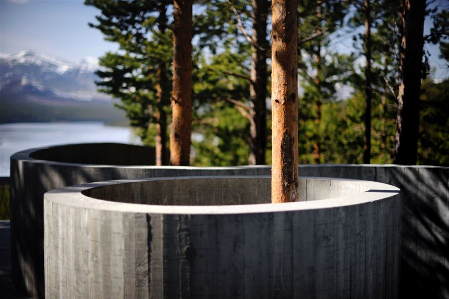 Detalj av Sohlbergplassen, Nasjonal turistveg Rondane. Trærne ved plassen har blitt vernet på beste måte. 