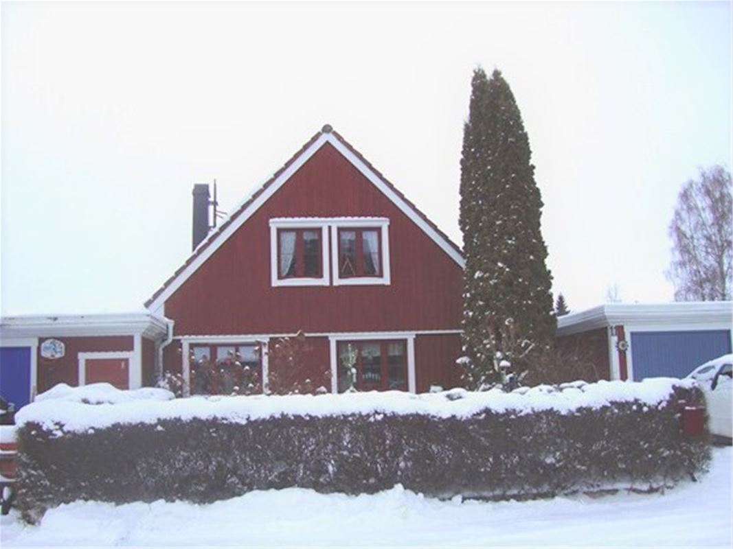 House with snow on the hedge.