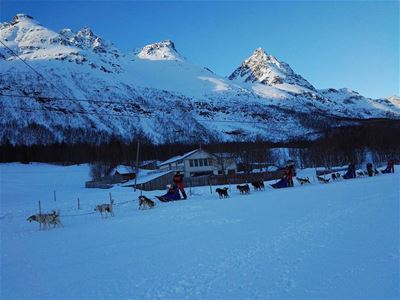 Dog-sledding past houses and mountains