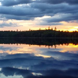 View of lake and forest in the sunset.