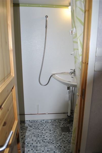 Toilet with shower 