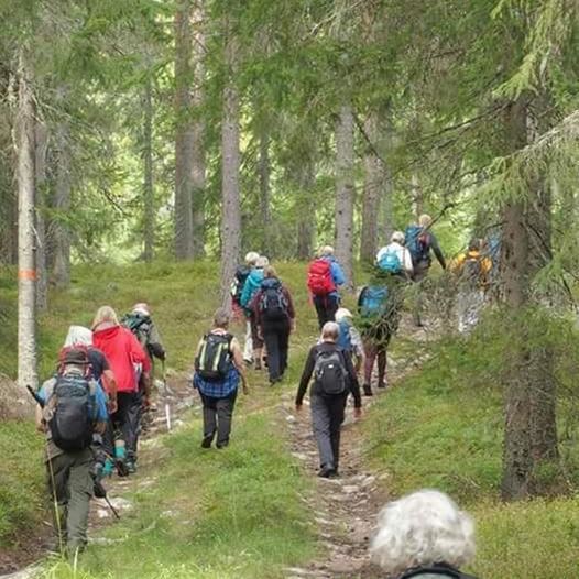 Vandring med Friluftsfrämjandet