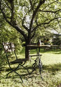 A table with two chairs under a tree.