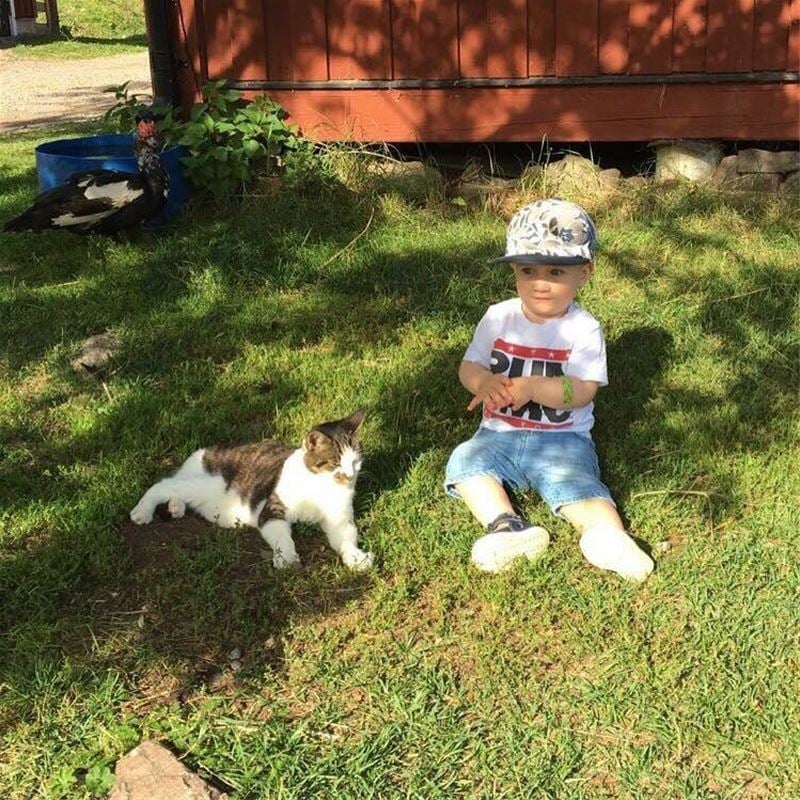 Little boy is sitting in the grass next to a cat.