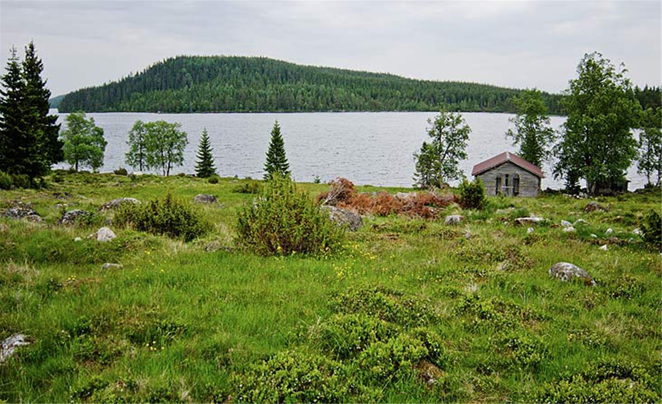 Betesmark, en grå byggnad och en sjö i bakgrunden, på andra sidan sjön skymtar en höjd.