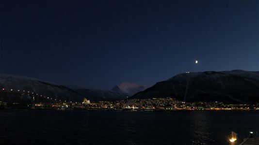Night view of a coastal town with a bridge, mountains, and moonlight.