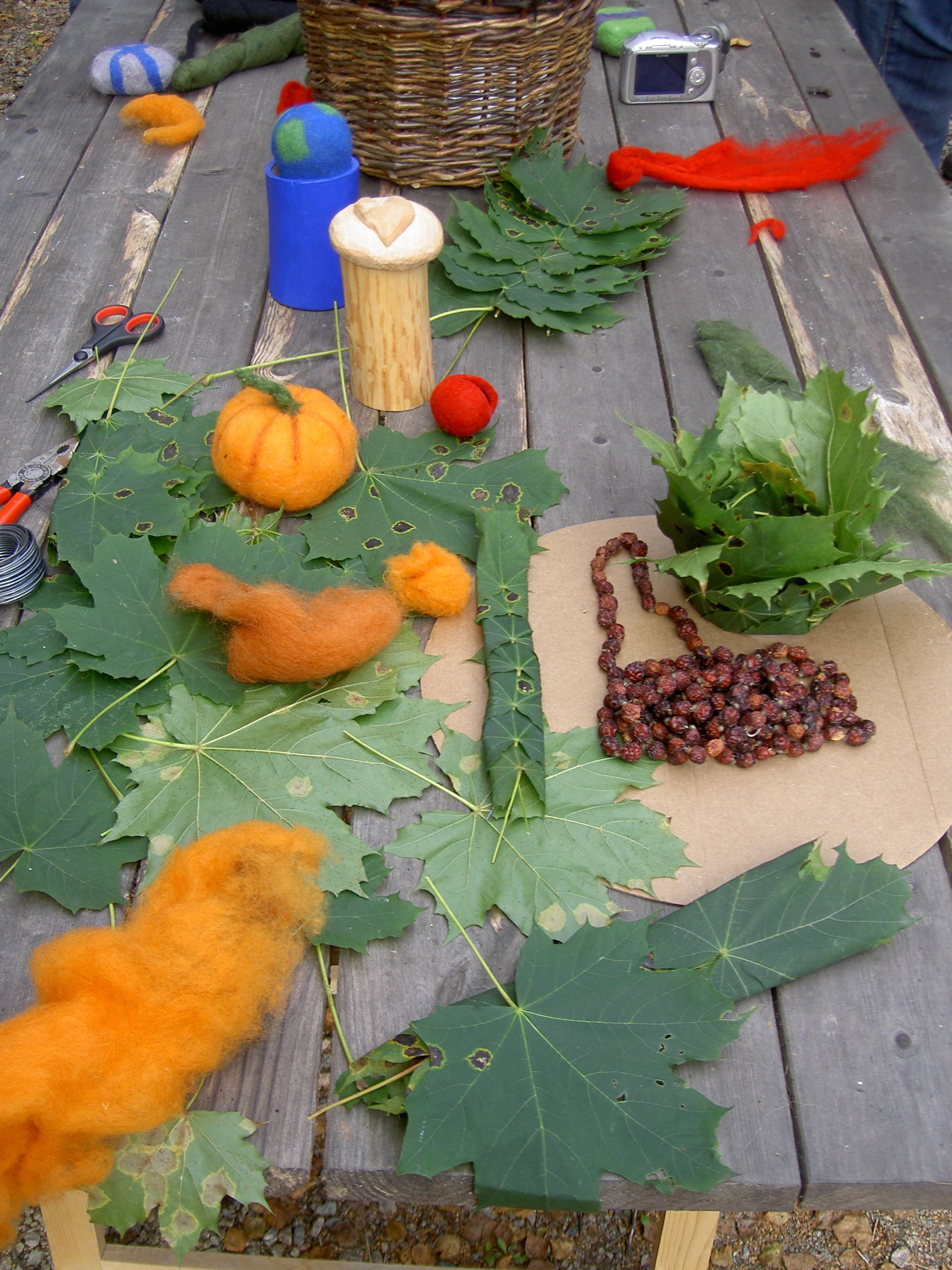Natur och Kultur med Djur