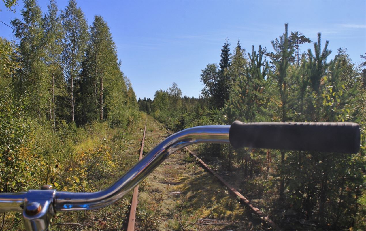 The view from a rail trolley bicycle over the rails through the forest.