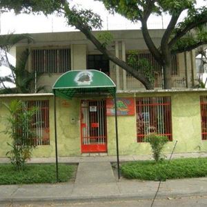 Hostel Tamarindo