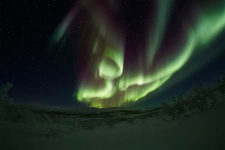 Northern lights over snow covered landscape
